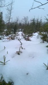 WP_20211230_12_19_26_Pro