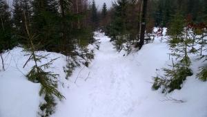 WP_20211230_12_19_37_Pro