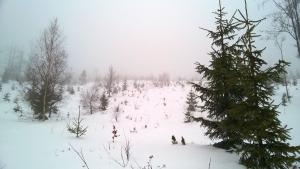 WP_20211230_12_43_38_Pro