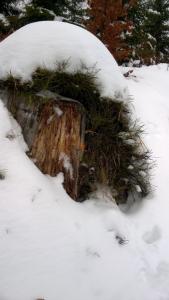 WP_20211230_12_50_41_Pro