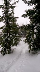 WP_20211230_12_52_46_Pro