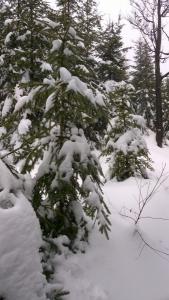 WP_20211230_12_53_05_Pro