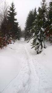 WP_20211230_12_56_47_Pro