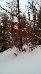 WP_20211230_12_56_58_Pro