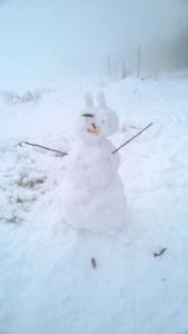 WP_20211230_14_00_37_Pro