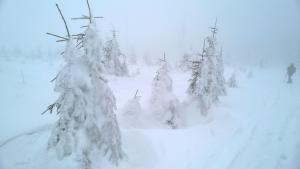 WP_20211230_14_38_38_Pro