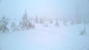 WP_20211230_14_39_02_Pro
