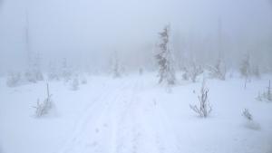 WP_20211230_14_39_04_Pro