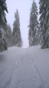 WP_20211230_14_40_59_Pro
