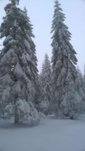 WP_20211230_14_41_16_Pro