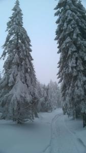 WP_20211230_14_41_24_Pro