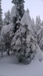 WP_20211230_14_41_58_Pro