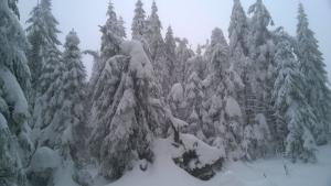 WP_20211230_14_42_15_Pro