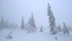 WP_20211230_14_42_57_Pro