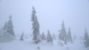 WP_20211230_14_43_00_Pro