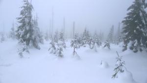 WP_20211230_14_43_06_Pro
