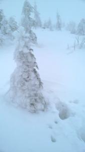 WP_20211230_14_44_06_Pro