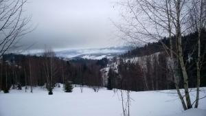 WP_20211230_16_02_16_Pro