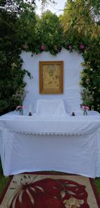 IMG 20240530 082455