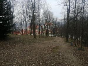 Kalwaryjskie-42