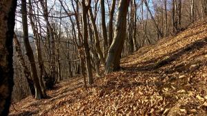 Na-Mogielice-2022-17