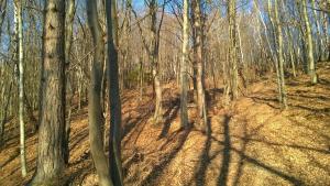 Na-Mogielice-2022-18