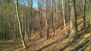 Na-Mogielice-2022-19