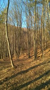 Na-Mogielice-2022-20