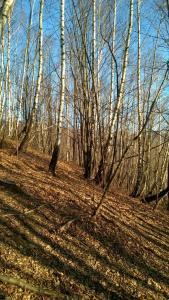 Na-Mogielice-2022-25