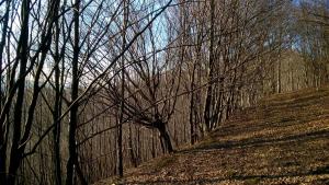 Na-Mogielice-2022-27