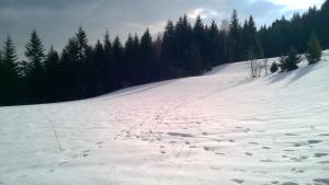 Na-Mogielice-2022-37