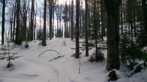 Na-Mogielice-2022-42