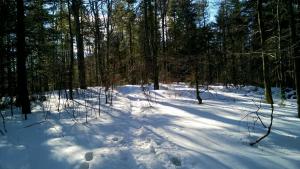 Na-Mogielice-2022-66