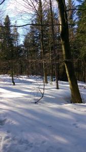 Na-Mogielice-2022-67