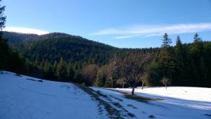 Na-Mogielice-2022-74