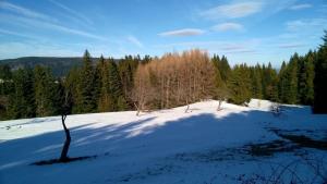 Na-Mogielice-2022-75