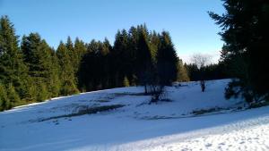 Na-Mogielice-2022-77