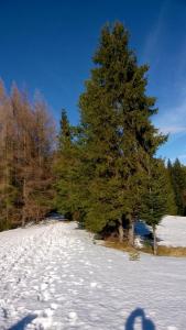 Na-Mogielice-2022-78