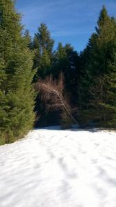 Na-Mogielice-2022-82