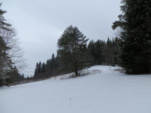 P1240755