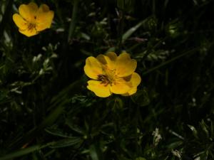 P6207435