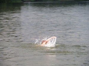 SAM_0024