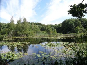 SAM_0162