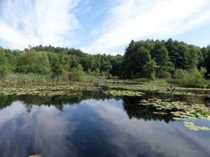 SAM_0169