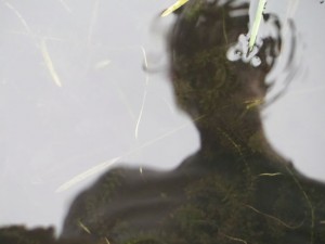 SAM_0203