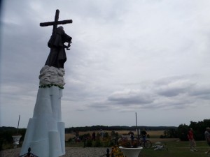 SAM_0230