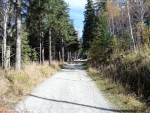 SAM_1183