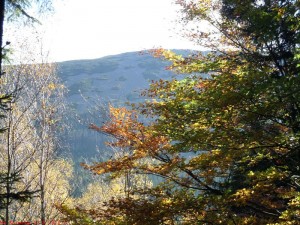 SAM_1189