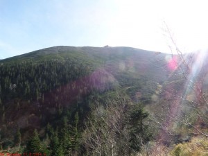 SAM_1208
