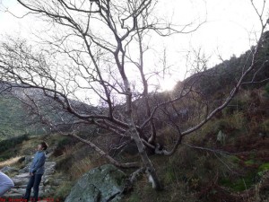 SAM_1220